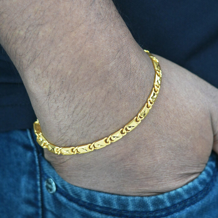 4__8340 With model